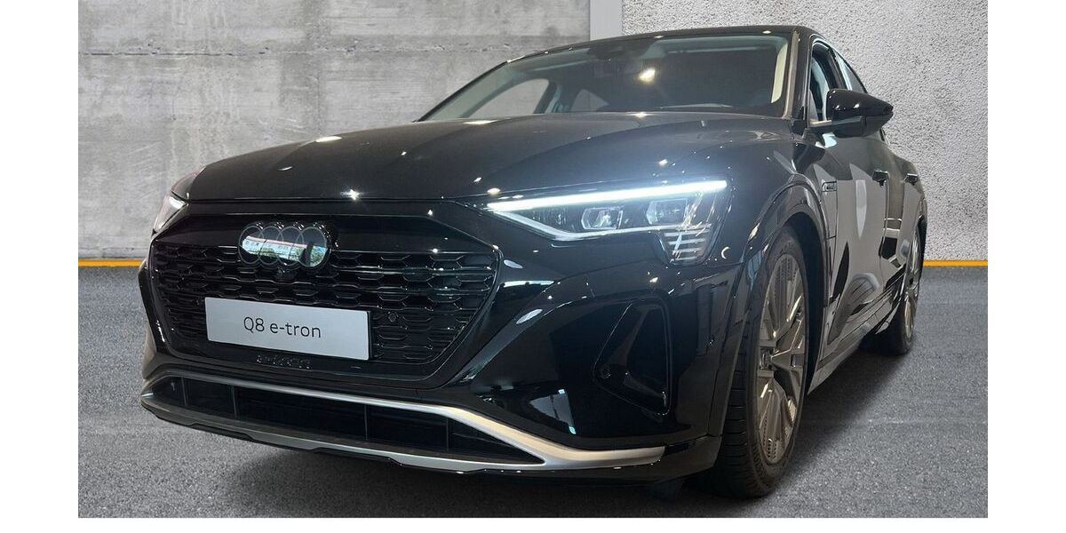 Audi Q8 e-tron 49.900 km 59.620 &euro; Halle (Saale) 06110