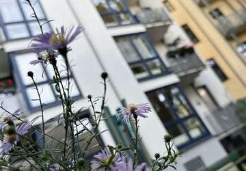 Wohnung Halle Am Wasserturm/Thaerviertel - 3 Zimmer, 77 m&sup2;, 820&euro; | Angebot:27445417