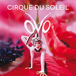 Cirque du Soleil - OVO