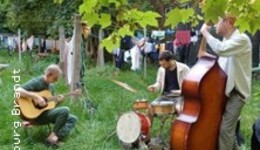 Trio Immergrün